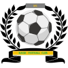 https://img.zslxw.com/img/football/team/6dc6d59af2f0962597b412473a6708ee.png