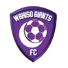 https://img.zslxw.com/img/football/team/c5a548d374c3bb29f1190bf670442c90.png